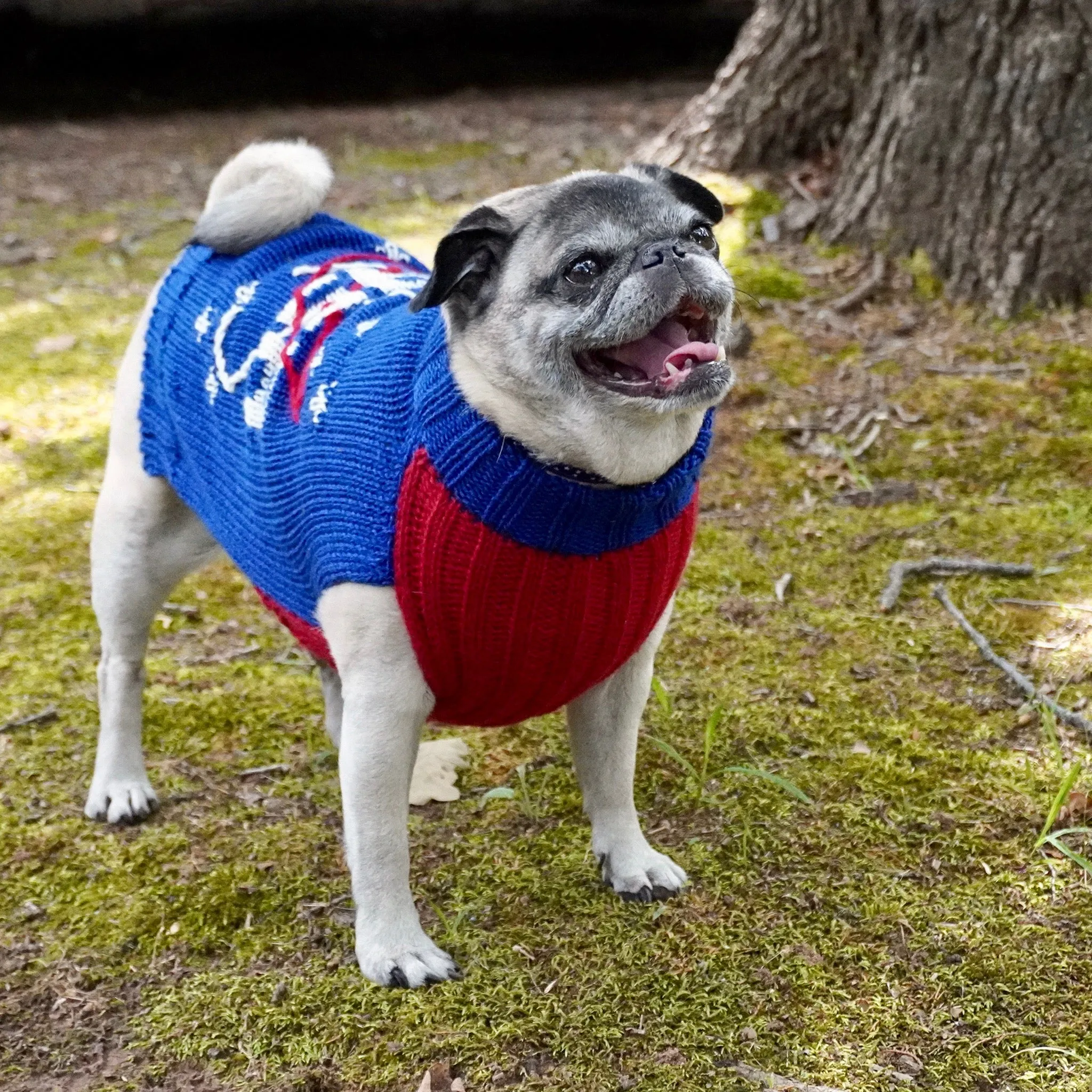 NASA Dog Sweater