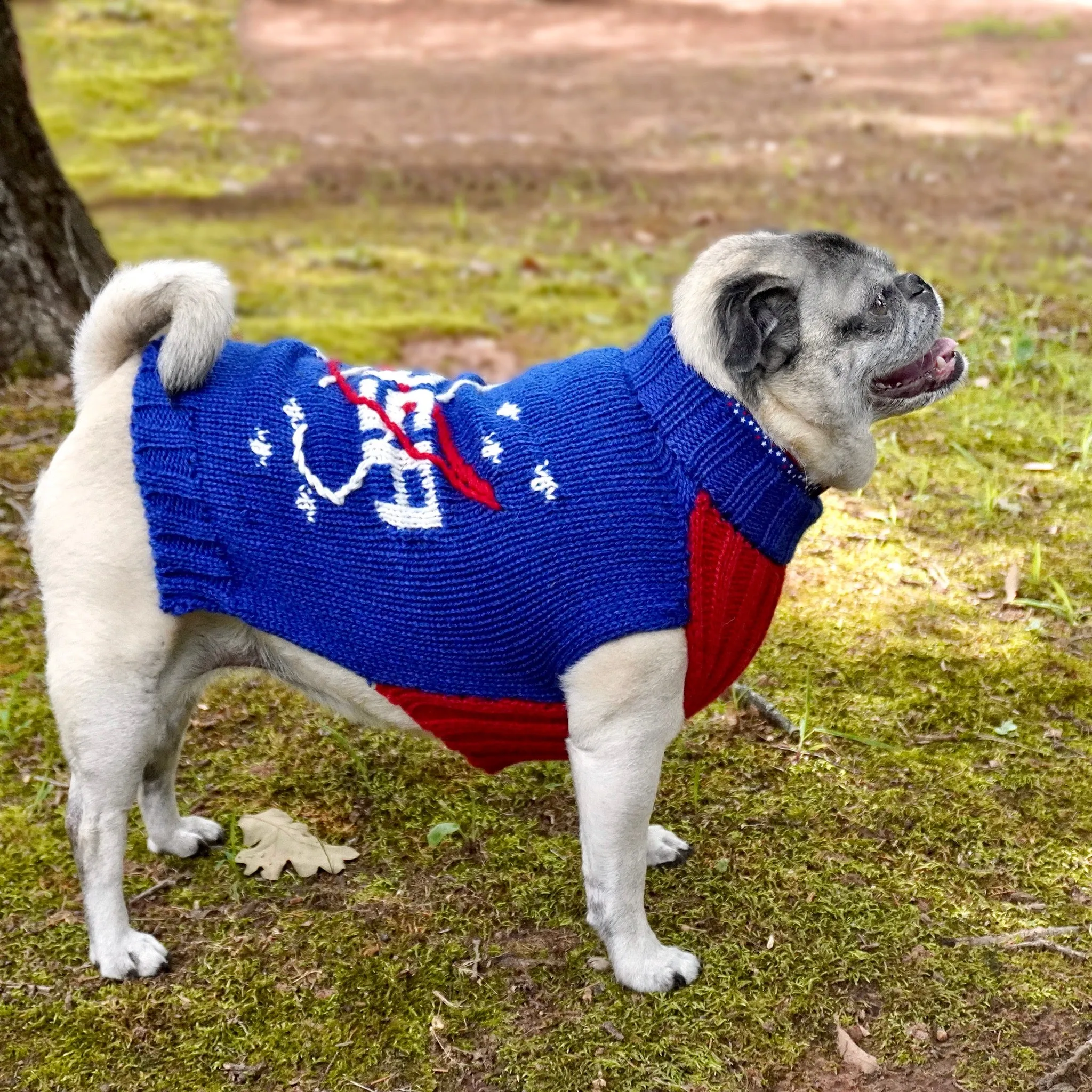 NASA Dog Sweater