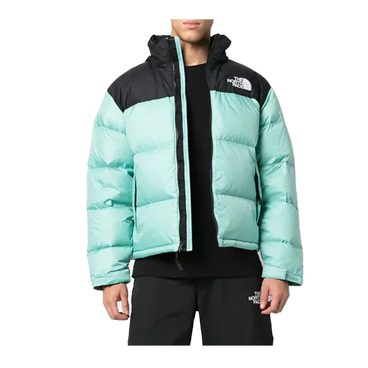 The North Face Mens 1996 Retro Nuptse Jacket NF0A3C8D-6R7 Wasabi