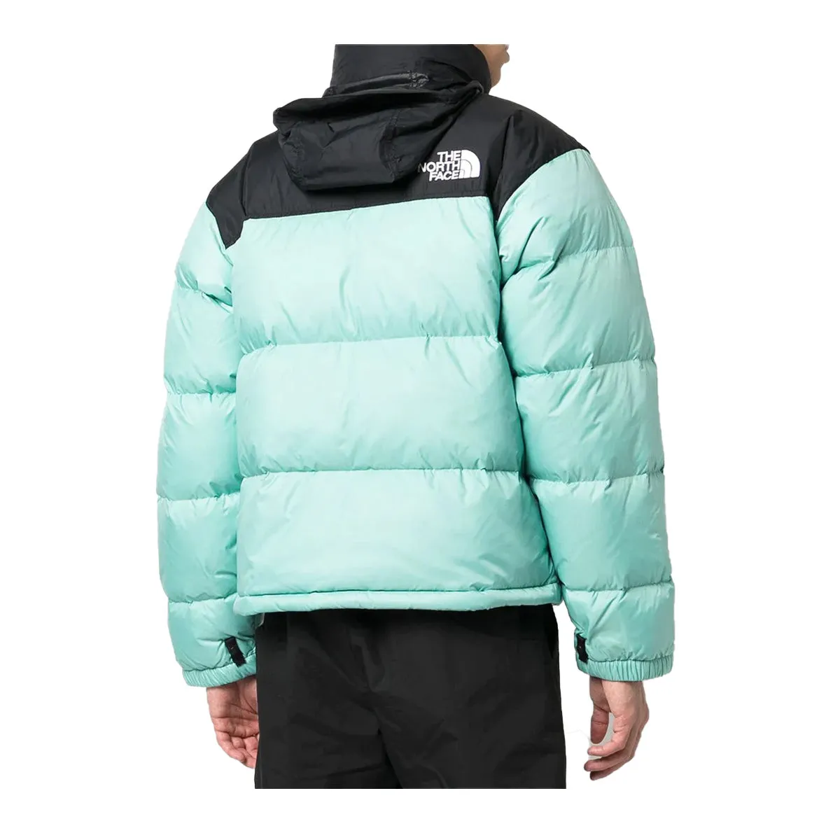 The North Face Mens 1996 Retro Nuptse Jacket NF0A3C8D-6R7 Wasabi